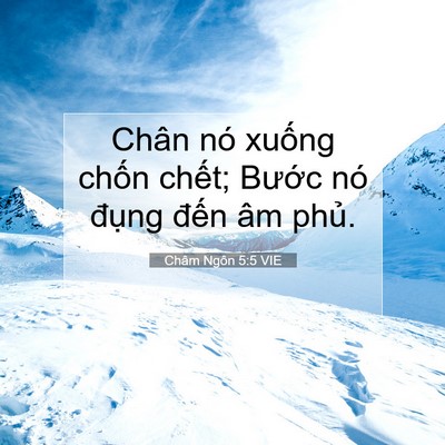 Picture 07 - Châm Ngôn 5:5 VIE - Chân nó xuống chốn chết; Bước nó - Bible Verse Picture
