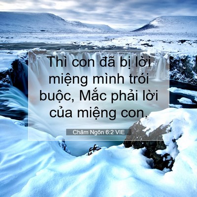 Picture 07 - Châm Ngôn 6:2 VIE - Thì con đã bị lời miệng mình trói - Bible Verse Picture