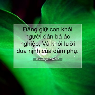 Picture 07 - Châm Ngôn 6:24 VIE - Đặng giữ con khỏi người đàn bà ác - Bible Verse Picture