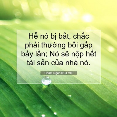 Picture 07 - Châm Ngôn 6:31 VIE - Hễ nó bị bắt, chắc phải thường - Bible Verse Picture