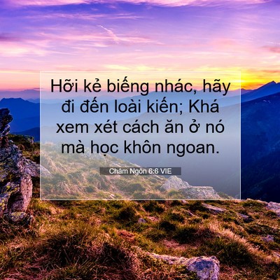 Picture 07 - Châm Ngôn 6:6 VIE - Hỡi kẻ biếng nhác, hãy đi đến loài - Bible Verse Picture