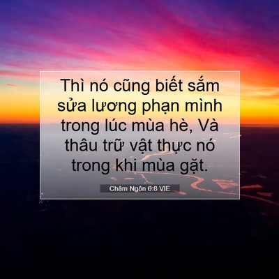 Picture 07 - Châm Ngôn 6:8 VIE - Thì nó cũng biết sắm sửa lương phạn - Bible Verse Picture