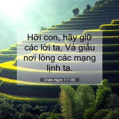 Picture 07 - Châm Ngôn 7:1 VIE - Hỡi con, hãy giữ các lời ta, Và giấu - Bible Verse Picture