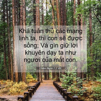 Picture 07 - Châm Ngôn 7:2 VIE - Khá tuân thủ các mạng lịnh ta, thì con - Bible Verse Picture