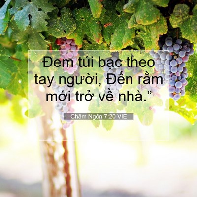 Picture 07 - Châm Ngôn 7:20 VIE - Đem túi bạc theo tay người, Đến rằm - Bible Verse Picture