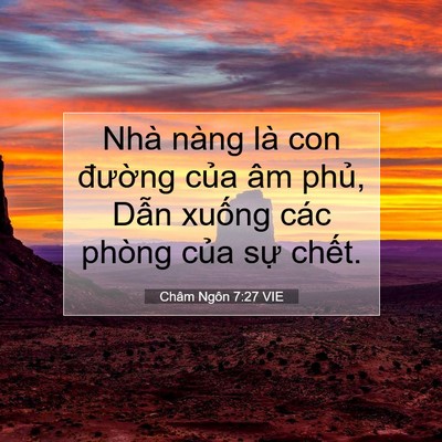 Picture 07 - Châm Ngôn 7:27 VIE - Nhà nàng là con đường của âm phủ, - Bible Verse Picture
