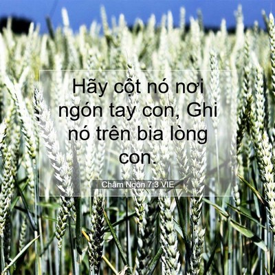 Picture 07 - Châm Ngôn 7:3 VIE - Hãy cột nó nơi ngón tay con, Ghi nó trên - Bible Verse Picture