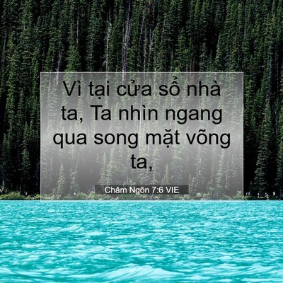 Picture 07 - Châm Ngôn 7:6 VIE - Vì tại cửa sổ nhà ta, Ta nhìn ngang qua - Bible Verse Picture
