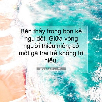Picture 07 - Châm Ngôn 7:7 VIE - Bèn thấy trong bọn kẻ ngu dốt, Giữa - Bible Verse Picture