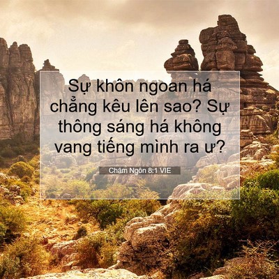 Picture 07 - Châm Ngôn 8:1 VIE - Sự khôn ngoan há chẳng kêu lên sao? Sự - Bible Verse Picture