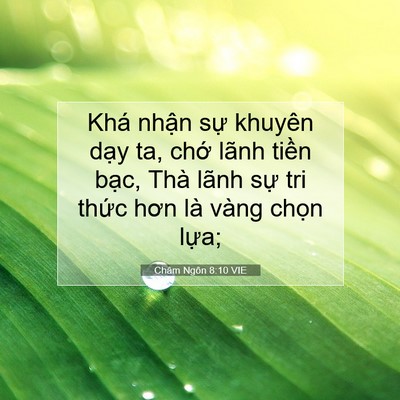 Picture 07 - Châm Ngôn 8:10 VIE - Khá nhận sự khuyên dạy ta, chớ lãnh - Bible Verse Picture