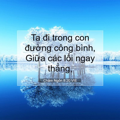 Picture 07 - Châm Ngôn 8:20 VIE - Ta đi trong con đường công bình, Giữa - Bible Verse Picture