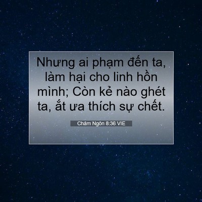 Picture 07 - Châm Ngôn 8:36 VIE - Nhưng ai phạm đến ta, làm hại cho linh - Bible Verse Picture