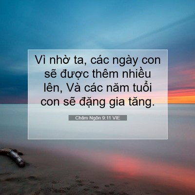 Picture 07 - Châm Ngôn 9:11 VIE - Vì nhờ ta, các ngày con sẽ được thêm - Bible Verse Picture