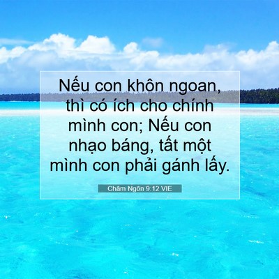 Picture 07 - Châm Ngôn 9:12 VIE - Nếu con khôn ngoan, thì có ích cho chính - Bible Verse Picture