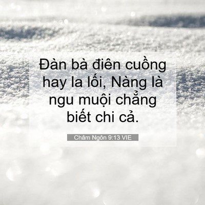 Picture 07 - Châm Ngôn 9:13 VIE - Đàn bà điên cuồng hay la lối, Nàng là - Bible Verse Picture