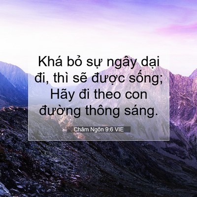 Picture 07 - Châm Ngôn 9:6 VIE - Khá bỏ sự ngây dại đi, thì sẽ - Bible Verse Picture