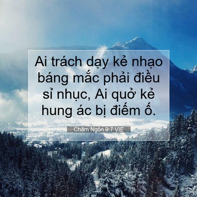 Picture 07 - Châm Ngôn 9:7 VIE - Ai trách dạy kẻ nhạo báng mắc phải - Bible Verse Picture
