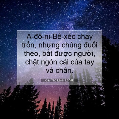 Picture 07 - Các Thủ Lãnh 1:6 VIE - A-đô-ni-Bê-xéc chạy trốn, nhưng chúng - Bible Verse Picture