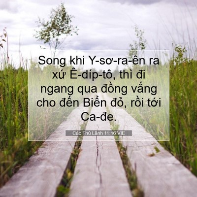 Picture 07 - Các Thủ Lãnh 11:16 VIE - Song khi Y-sơ-ra-ên ra xứ Ê-díp-tô, thì - Bible Verse Picture