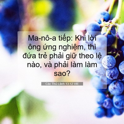 Picture 07 - Các Thủ Lãnh 13:12 VIE - Ma-nô-a tiếp: Khi lời ông ứng nghiệm, - Bible Verse Picture