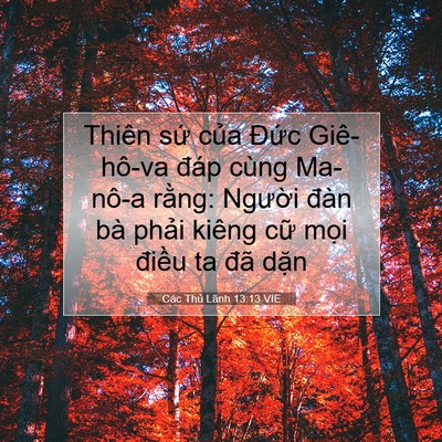 Picture 07 - Các Thủ Lãnh 13:13 VIE - Thiên sứ của Đức Giê-hô-va đáp cùng - Bible Verse Picture