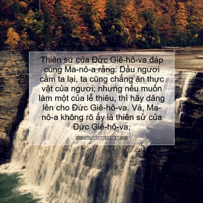 Picture 07 - Các Thủ Lãnh 13:16 VIE - Thiên sứ của Đức Giê-hô-va đáp cùng - Bible Verse Picture