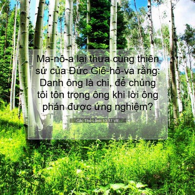 Picture 07 - Các Thủ Lãnh 13:17 VIE - Ma-nô-a lại thưa cùng thiên sứ của - Bible Verse Picture