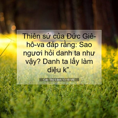 Picture 07 - Các Thủ Lãnh 13:18 VIE - Thiên sứ của Đức Giê-hô-va đáp - Bible Verse Picture