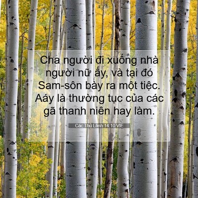 Picture 07 - Các Thủ Lãnh 14:10 VIE - Cha người đi xuống nhà người nữ ấy, - Bible Verse Picture