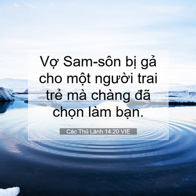 Picture 07 - Các Thủ Lãnh 14:20 VIE - Vợ Sam-sôn bị gả cho một người trai - Bible Verse Picture