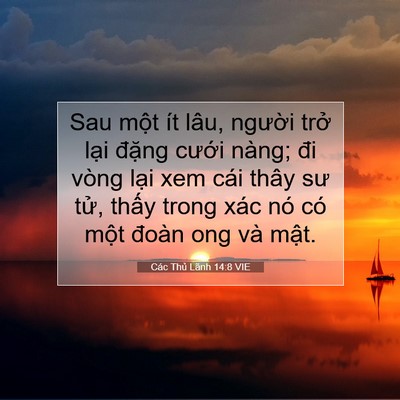 Picture 07 - Các Thủ Lãnh 14:8 VIE - Sau một ít lâu, người trở lại đặng - Bible Verse Picture