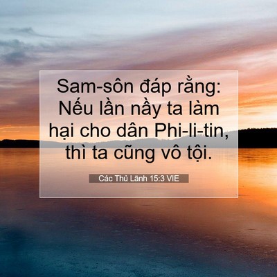 Picture 07 - Các Thủ Lãnh 15:3 VIE - Sam-sôn đáp rằng: Nếu lần nầy ta làm - Bible Verse Picture