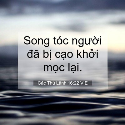 Picture 07 - Các Thủ Lãnh 16:22 VIE - Song tóc người đã bị cạo khởi mọc - Bible Verse Picture