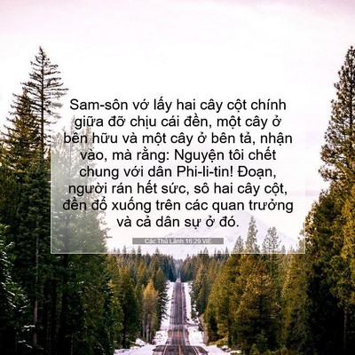 Picture 07 - Các Thủ Lãnh 16:29 VIE - Sam-sôn vớ lấy hai cây cột chính giữa - Bible Verse Picture