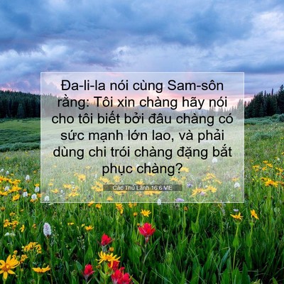 Picture 07 - Các Thủ Lãnh 16:6 VIE - Đa-li-la nói cùng Sam-sôn rằng: Tôi xin - Bible Verse Picture