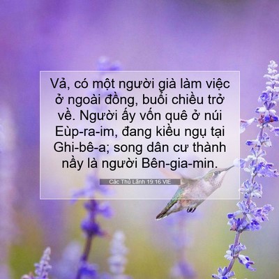 Picture 07 - Các Thủ Lãnh 19:16 VIE - Vả, có một người già làm việc ở - Bible Verse Picture