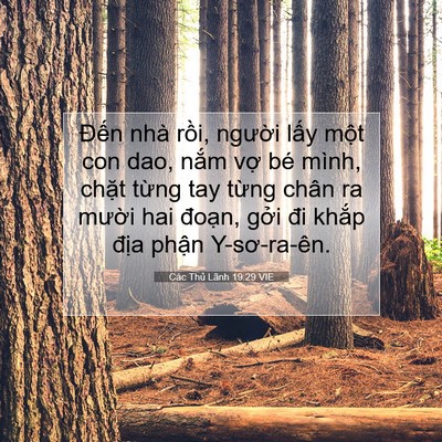 Picture 07 - Các Thủ Lãnh 19:29 VIE - Đến nhà rồi, người lấy một con dao, - Bible Verse Picture