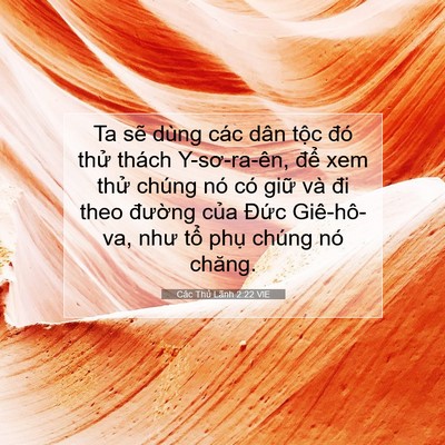 Picture 07 - Các Thủ Lãnh 2:22 VIE - Ta sẽ dùng các dân tộc đó thử thách - Bible Verse Picture