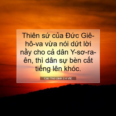 Picture 07 - Các Thủ Lãnh 2:4 VIE - Thiên sứ của Đức Giê-hô-va vừa nói - Bible Verse Picture