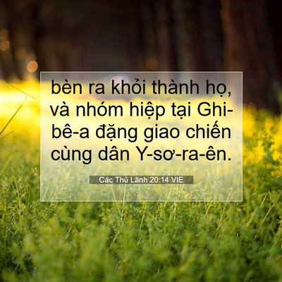 Picture 07 - Các Thủ Lãnh 20:14 VIE - bèn ra khỏi thành họ, và nhóm hiệp - Bible Verse Picture