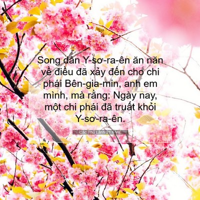 Picture 07 - Các Thủ Lãnh 21:6 VIE - Song dân Y-sơ-ra-ên ăn năn về điều đã - Bible Verse Picture