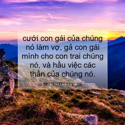 Picture 07 - Các Thủ Lãnh 3:6 VIE - cưới con gái của chúng nó làm vợ, gả - Bible Verse Picture