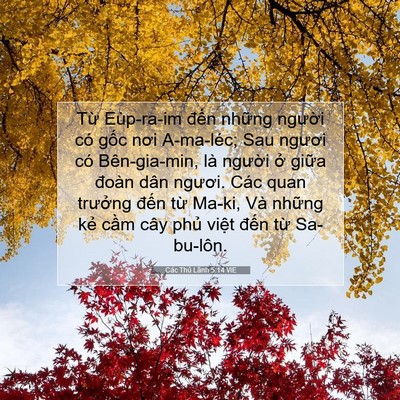 Picture 07 - Các Thủ Lãnh 5:14 VIE - Từ Eùp-ra-im đến những người có gốc - Bible Verse Picture