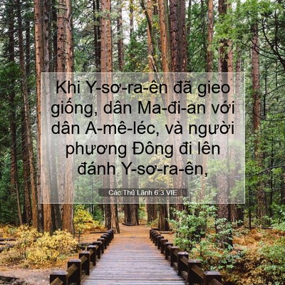 Picture 07 - Các Thủ Lãnh 6:3 VIE - Khi Y-sơ-ra-ên đã gieo giống, dân - Bible Verse Picture