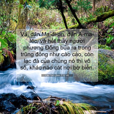 Picture 07 - Các Thủ Lãnh 7:12 VIE - Vả, dân Ma-đi-an, dân A-ma-léc, và hết - Bible Verse Picture