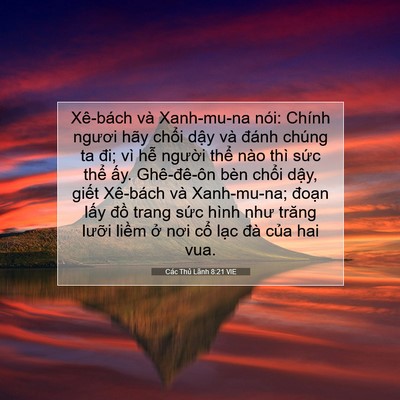 Picture 07 - Các Thủ Lãnh 8:21 VIE - Xê-bách và Xanh-mu-na nói: Chính ngươi - Bible Verse Picture