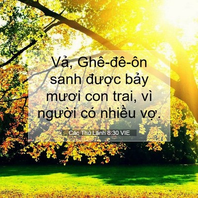 Picture 07 - Các Thủ Lãnh 8:30 VIE - Vả, Ghê-đê-ôn sanh được bảy mươi - Bible Verse Picture