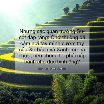 Picture 07 - Các Thủ Lãnh 8:6 VIE - Nhưng các quan trưởng Su-cốt đáp rằng: - Bible Verse Picture