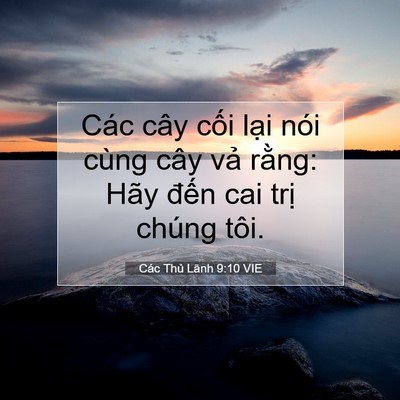Picture 07 - Các Thủ Lãnh 9:10 VIE - Các cây cối lại nói cùng cây vả - Bible Verse Picture